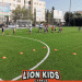 Lion-Kids