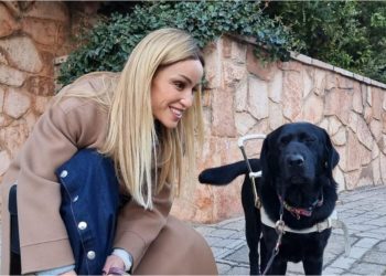 Παρέμβαση – γροθιά στο στομάχι, της Καρολίνας Πελενδρίτου με αφορμή μισαναπηρικό περιστατικό