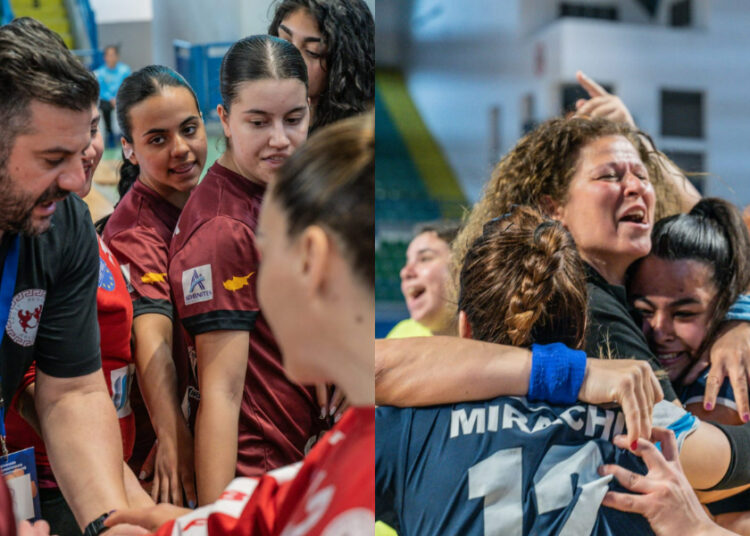 Ε.Ν. Αθηένου και Πανελλήνιος στον τελικό του Allwyn κυπέλλου Γυναικών στο Χάντμπολ